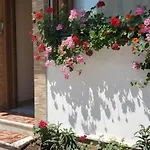 Te Lola Pogradec