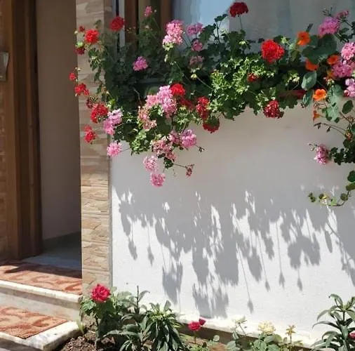 Te Lola بورغراديك